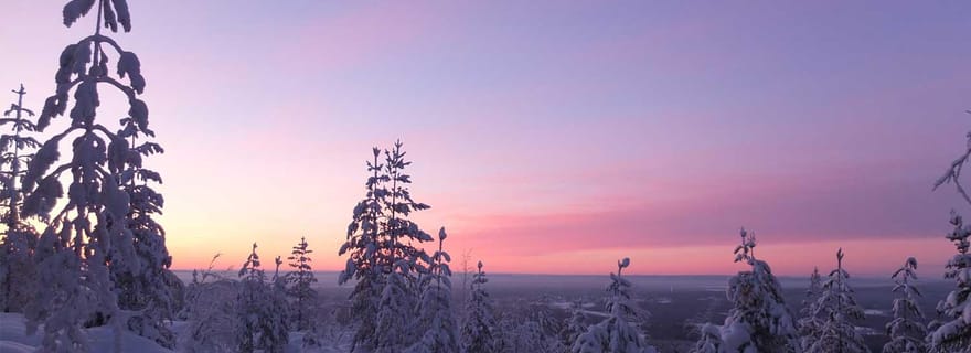 Luleå : randonnée en raquettes dans une nature intacte avec un guide expert !