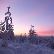 Luleå: snowshoeing in pristine nature with an expert guide!
