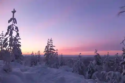 Luleå: snöskovandring i orörd natur med en expertguide!