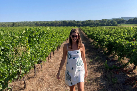 From Marseille: Wine and Scenery around Aix-en-Provence