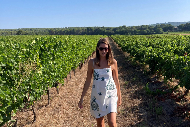 From Marseille: Wine and Scenery around Aix-en-Provence