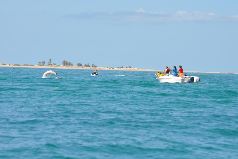 Djerba: Half-Day Boat Trip, Dolphin Watching, Swimming, and Lunch