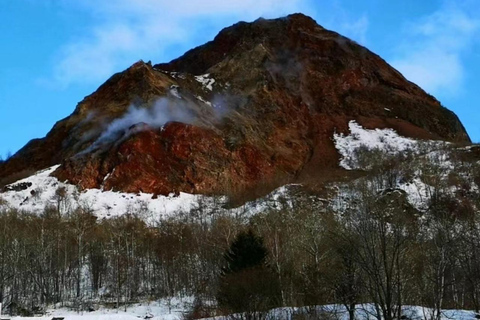 Viagem de 1 dia fretada de 10 horas a Hokkaido｜Furano