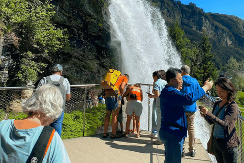 Wycieczka z przewodnikiem: Hardangerfjord, wodospady i przeprawa promem