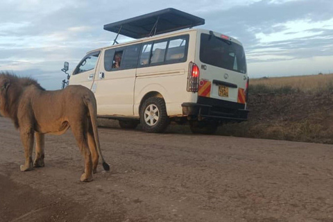 Nairobi : Excursion d&#039;une journée dans le parc national d&#039;Amboseli avec village Masai