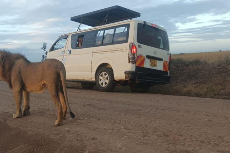 Nairobi : Excursion d&#039;une journée dans le parc national d&#039;Amboseli avec village Masai