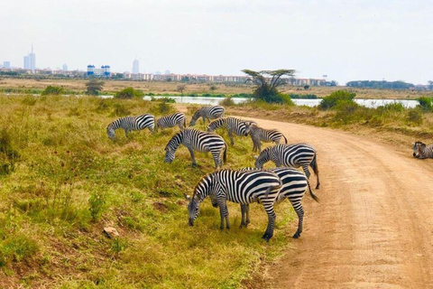 Nairobi National Park: Early Morning or afternoon adventure Early morning game drive in a Landcruiser JEEP