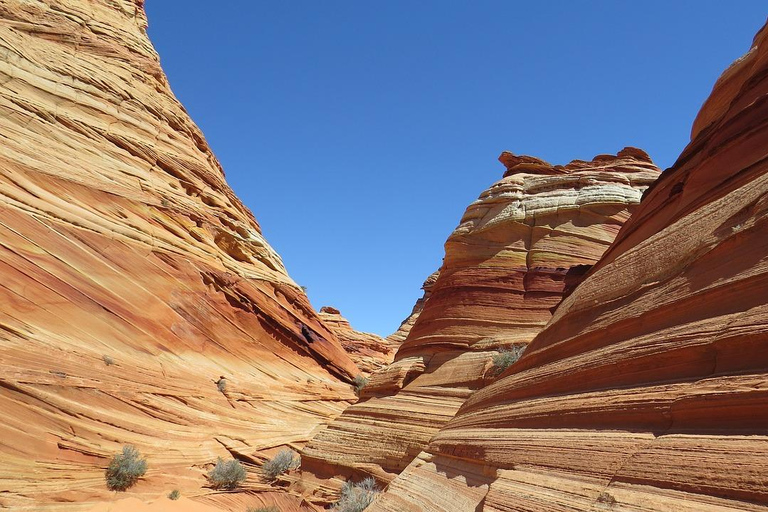 Kanab: South Coyote Buttes Hiking Tour (Permit Required)