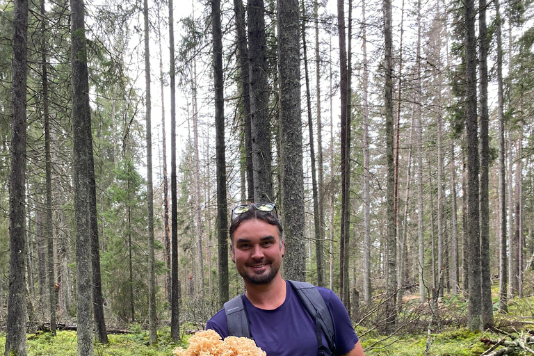 Stockholm: Mushroom and Berries Foraging Tour with Lunch
