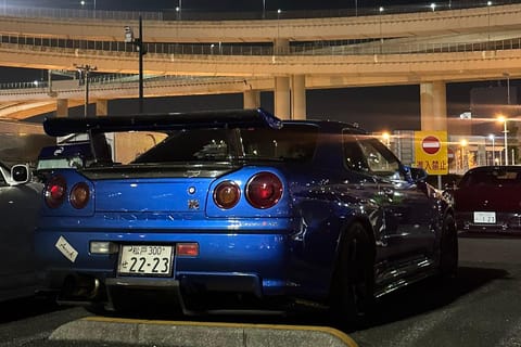 【R34】カッパーグロー140㎝前後、メディカルティーツリー70㎝前後2本 東京グローバルカークラブ：大国＆海鳴りカーミートツアー | GetYourGuide