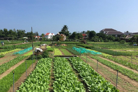 Bicicleta por el campo -Agricultura -Mercado -Clases de cocina en Hoi AnTour privado