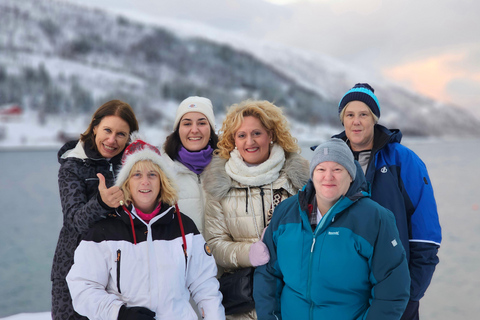 De Tromsø: Vida selvagem no Ártico e passeio turístico pelos fiordes de carro