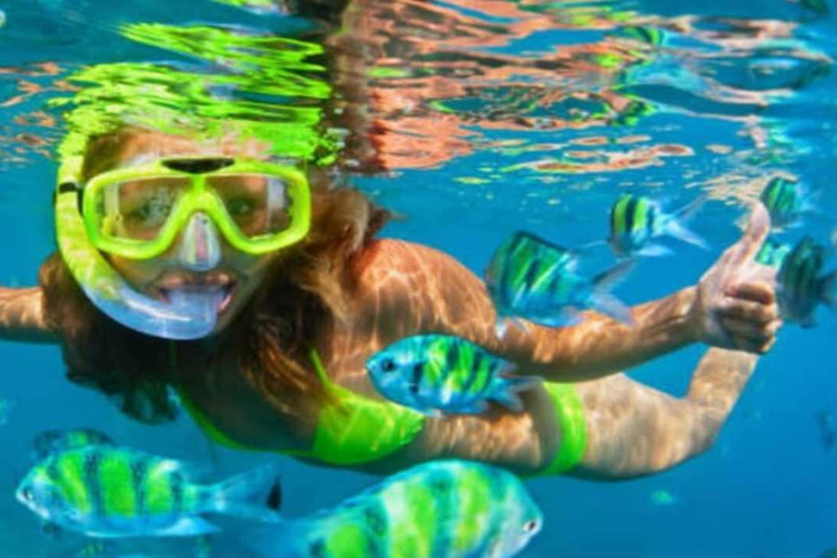 Puerto Plata: Sosúa Bay Snorkeling Tour with Transfers