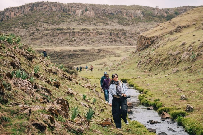 Bale Mountains: 3-tägige geführte Wanderung mit Wildtieren und Camping