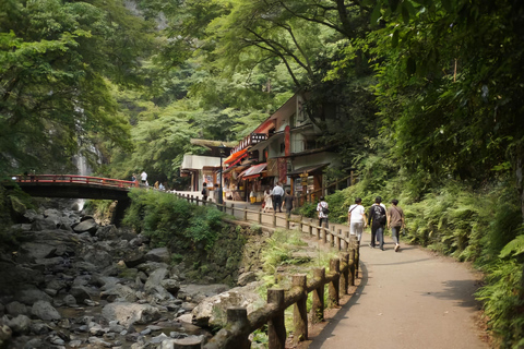 Osaka: Private Tour with Car & Local English Guide/Driver