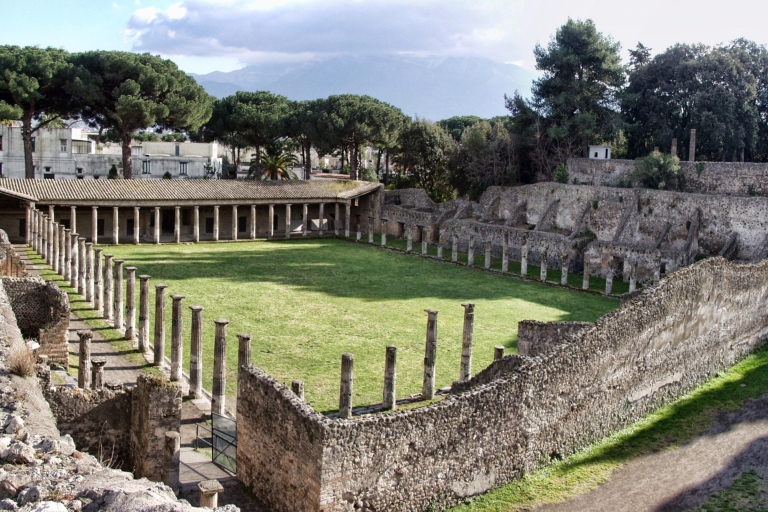 Ruiny Pompejów i wycieczka z degustacją wina