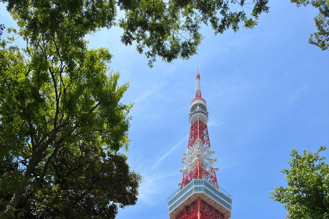 Tour de día completo por la ciudad de Tokio con recogida y regreso