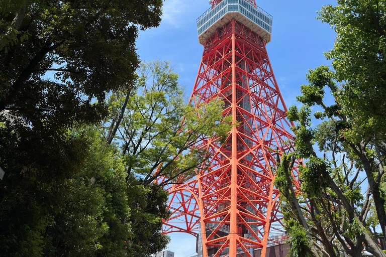 Tour de día completo por la ciudad de Tokio con recogida y regreso