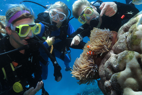 Cairns: Outer Barrier Reef Full-Day Cruise ex Port Douglas From Cairns: Outer Barrier Reef Full-Day Cruise