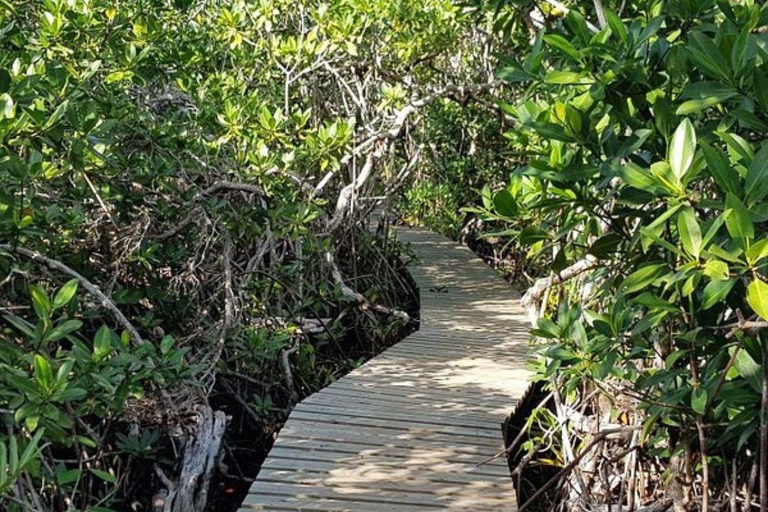 Freeport: Grand Bahama Culture, History & Local Flavors Tour Grand Bahama: City Tour with Tastings and Local Guide