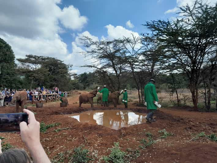 Giraffe Elephant Orphanage Bomas Of Kenya Day Tour Getyourguide