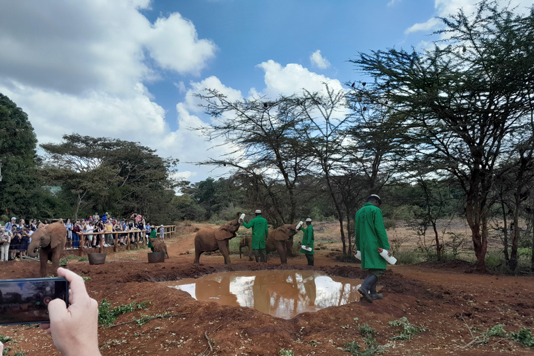 Giraffe, Elephant orphanage&amp; Bomas of Kenya Day Tour