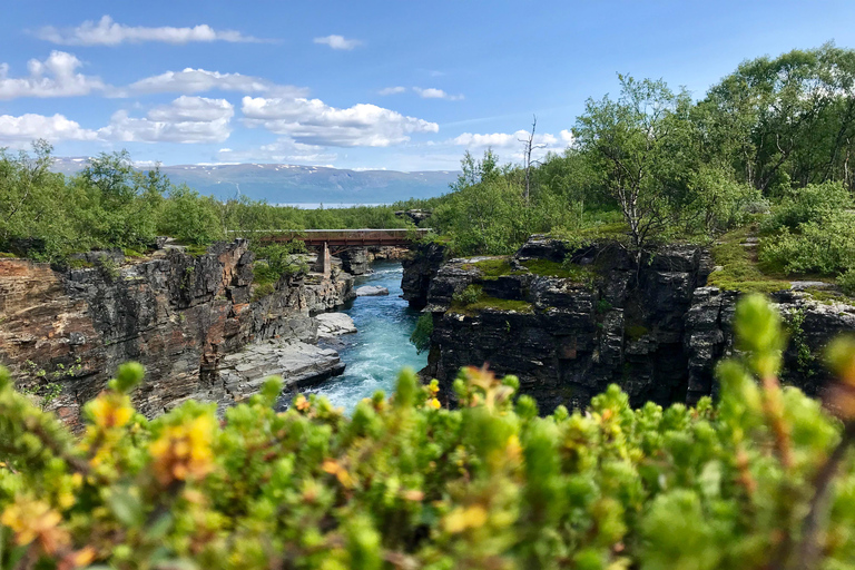 Kiruna: Abisko National Park Guided Day Tour with Lunch