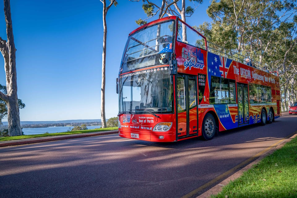 An open-top sightseeing bus passing tall trees and landscaped gardens in Perth
