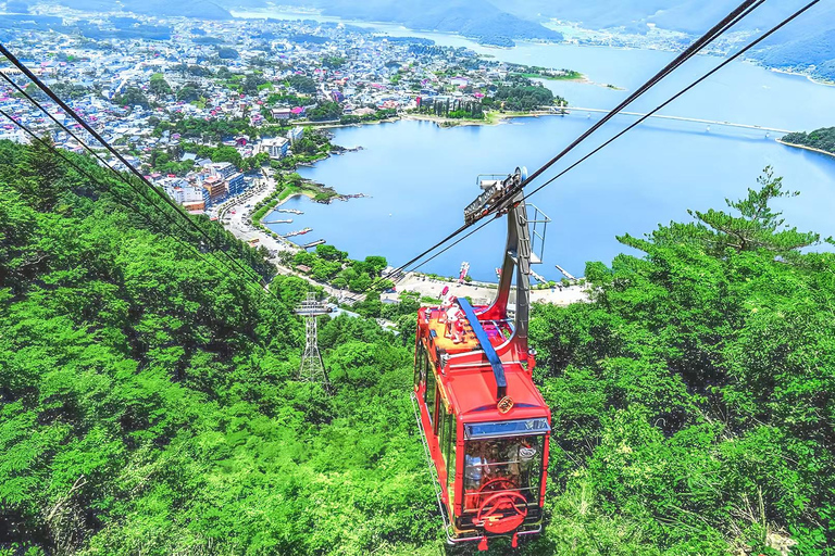 Mount Fuji Day Tour: Instagrammable Spots + Scenic Train From Tokyo (Including ropeway and cruise)