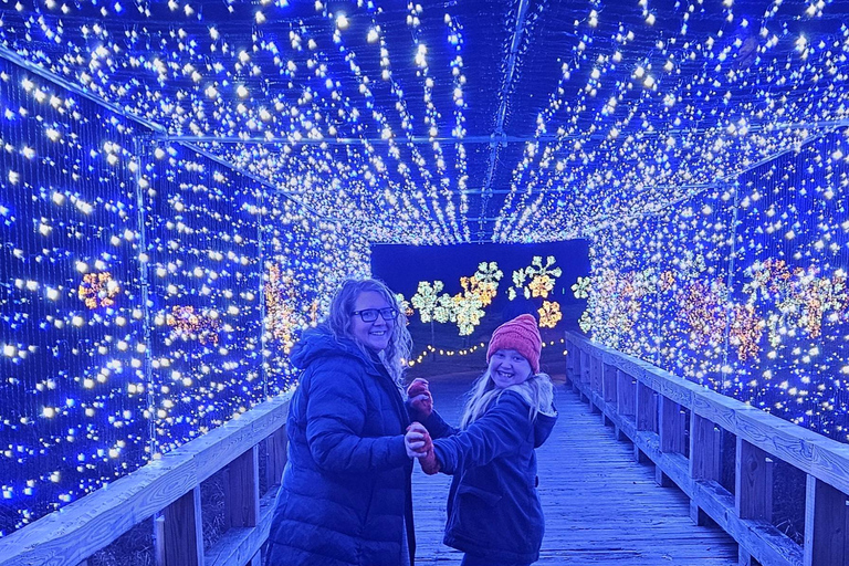 Derry, NH: LaBelle Lights Holiday Light Show Entry Ticket