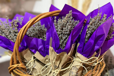 Villa Llanquín: Magic of the Steppe and Lavender Experience