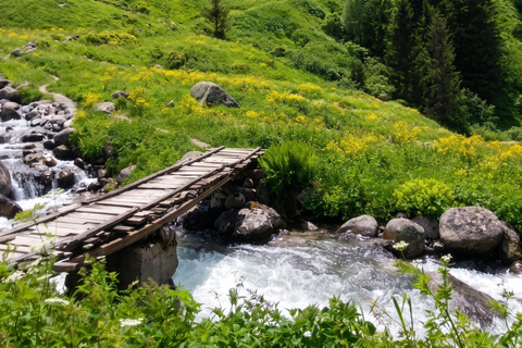 From Trabzon: Ayder Plateau Day Trip with Tea Factory