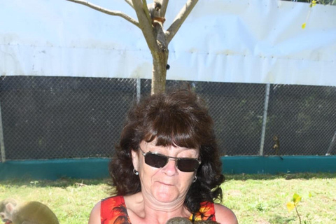 普拉塔港：从泰诺湾/安伯湾出发的猴子之旅和城市之旅普拉塔港：塔伊诺湾/安伯湾的猴子之旅和城市之旅