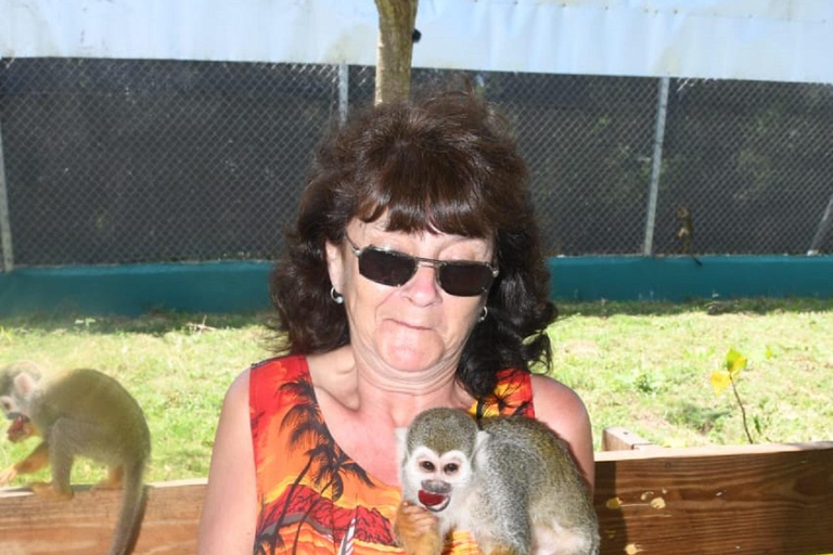 普拉塔港：从泰诺湾/安伯湾出发的猴子之旅和城市之旅普拉塔港：塔伊诺湾/安伯湾的猴子之旅和城市之旅