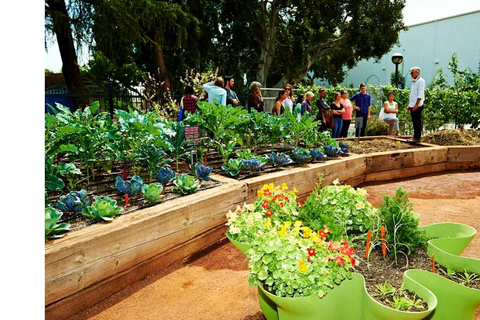 Natural History Museum LA: Entry + Fierce! The Story of Cats Fierce! The Story of Cats Special Exhibition - Weekends