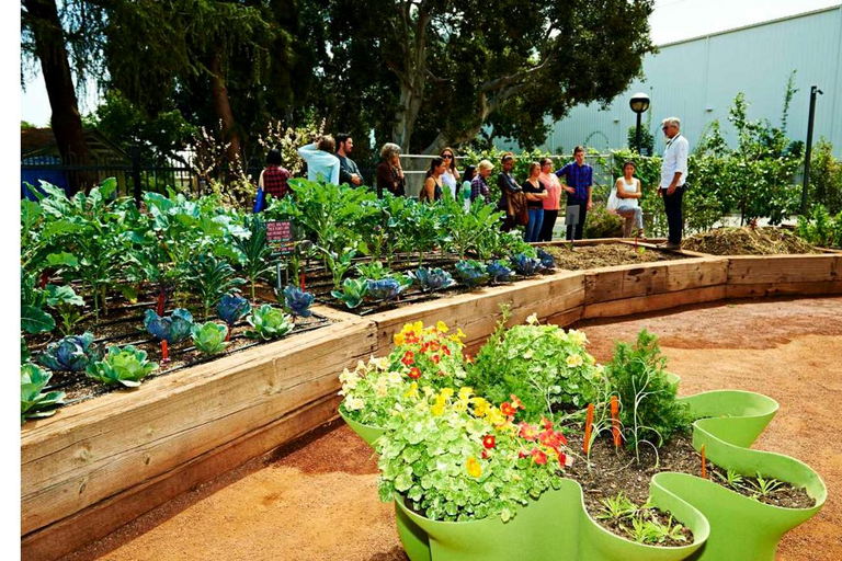 Natural History Museum LA: Entry + Fierce! The Story of Cats Fierce! The Story of Cats Special Exhibition - Weekends