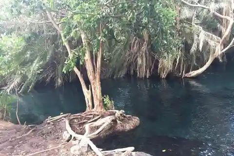 Moshi: Excursão de um dia a Chemka Hot Springs com guia de turismo