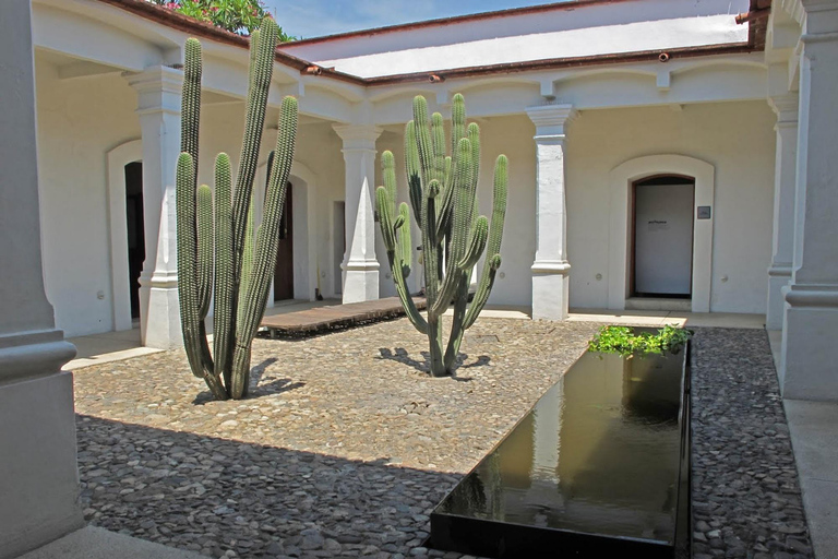 Tour a piedi di Oaxaca con uno storico: culture preispaniche e patrimonioGuida locale in inglese