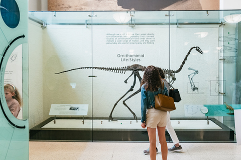 New York City: American Museum of Natural History Ticket General Admission