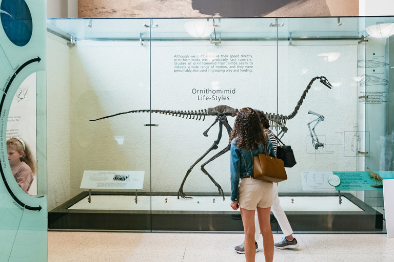 New York City: American Museum of Natural History TicketAllgemeiner Eintritt