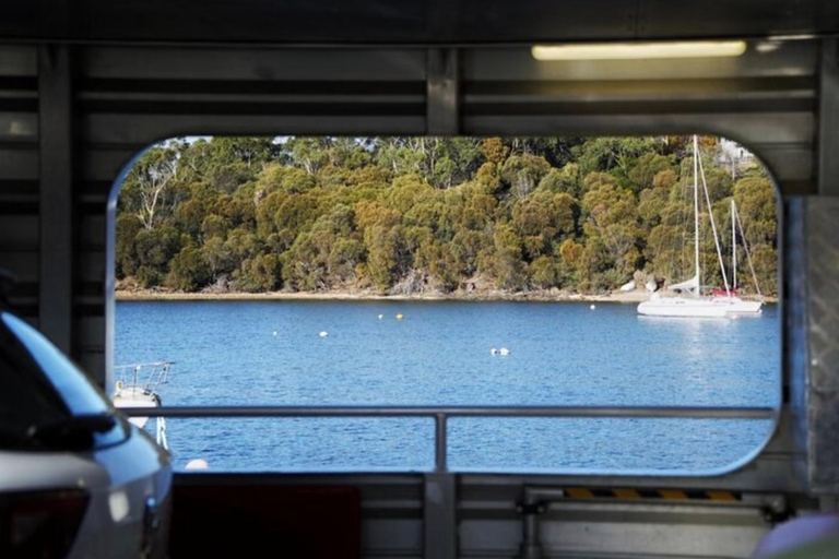 Bruny Island and Little Train: Local Explorer Tour