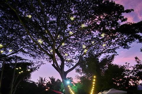 Iwahig River Cruise Firefly Watching