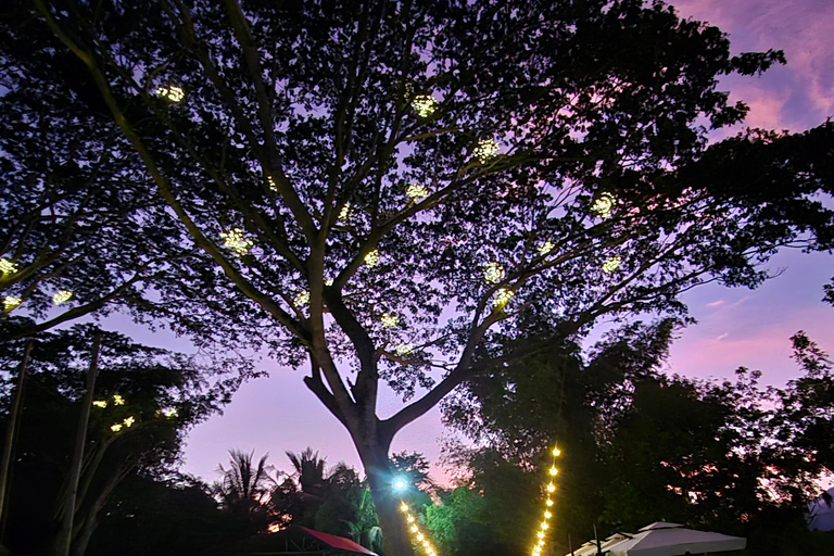 Iwahig River Cruise Firefly Watching