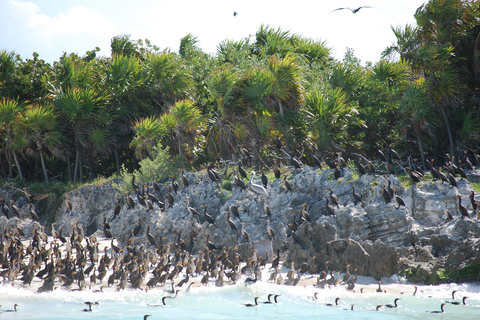 Von der Riviera Maya: Isla Contoy & Isla Mujeres GanztagestourAbholung von Playa del Carmen und Riviera Maya