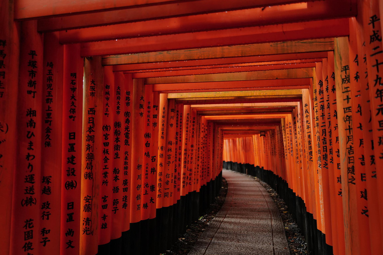 Kyoto Early Bird Tour with English-Speaking Guide