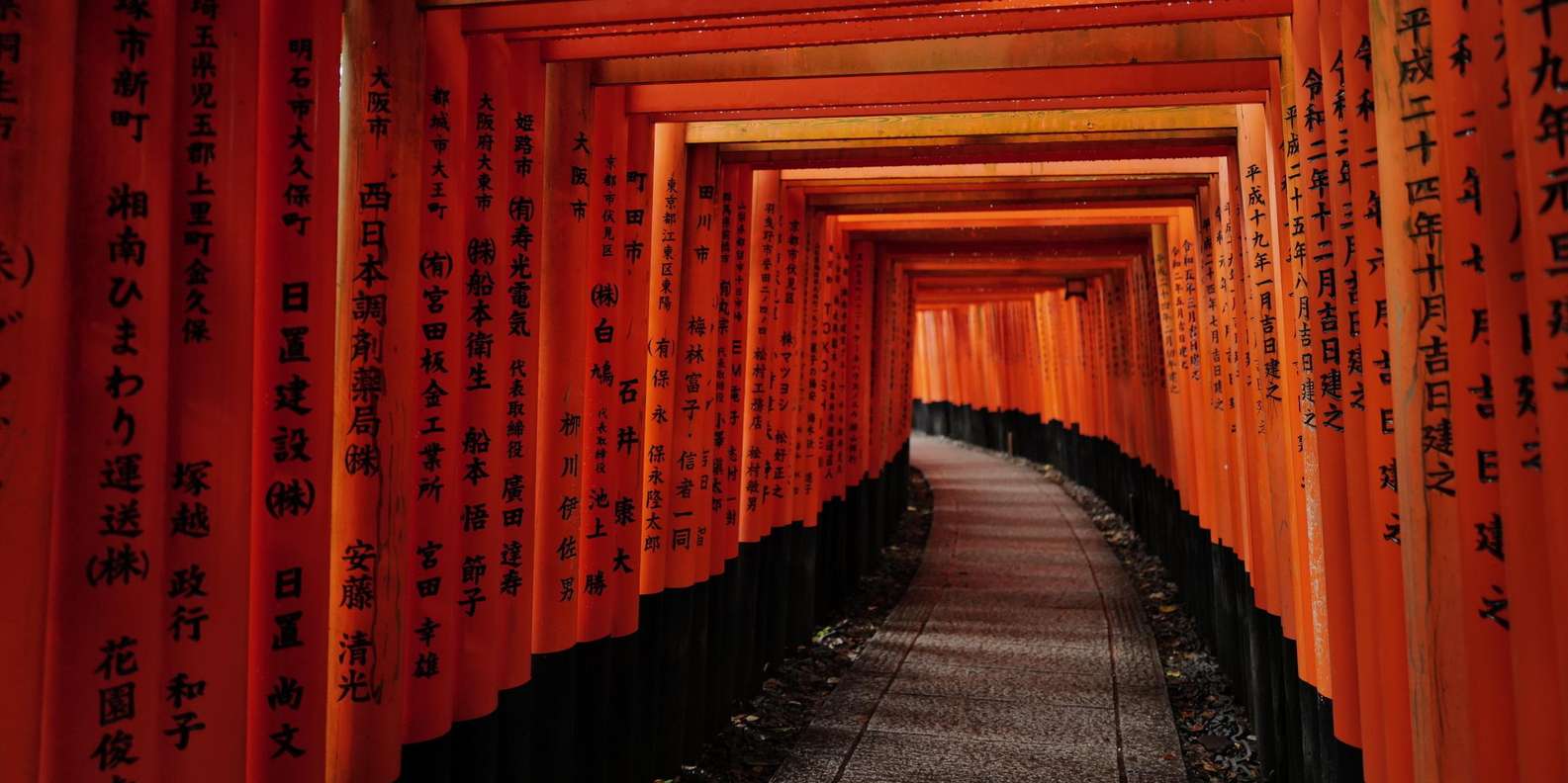 Kyoto experience — temples, geisha, bamboo grove — image 14