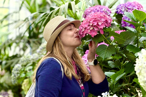 Jeju Trendy Café Tour and When Life Gives You Tangerines