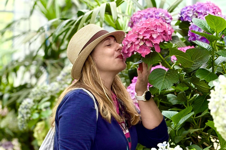 Jeju Trendy Café Tour and When Life Gives You Tangerines