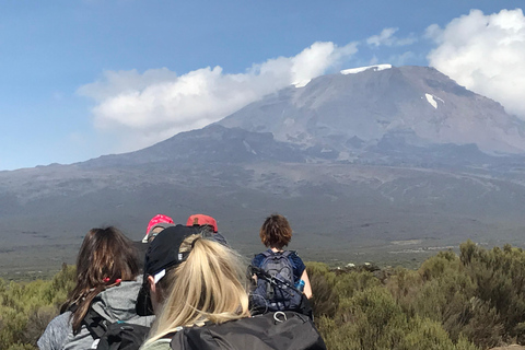 Kilimanjaro Dagsvandring (Shira Route)