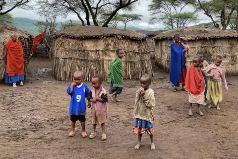 EXCURSION D&#039;UNE JOURNÉE DANS UN VILLAGE MASAI